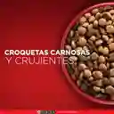 Comida para perro Purina One adultos minis y pequeños Pollo y Cordero X 3,5kg