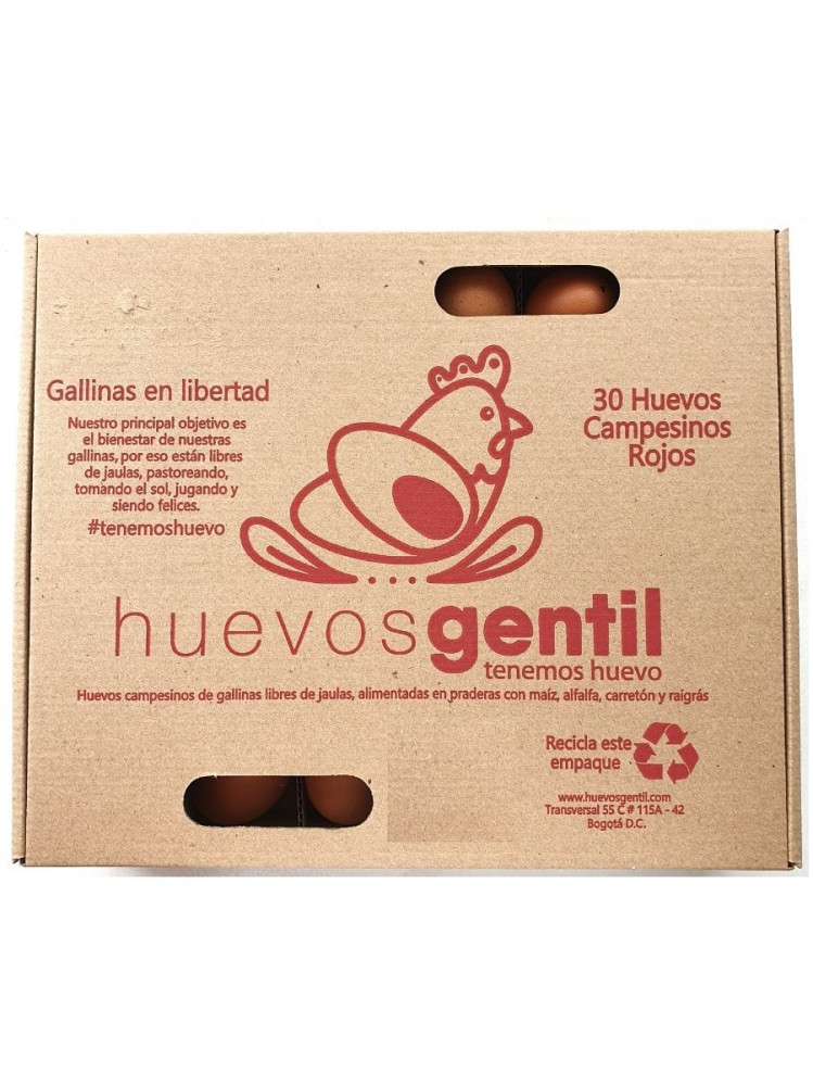 Gentil Huevo Campesino Rojo Tipo AA 30 und