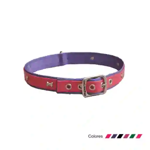 Dalmata's Collar Para Perro Hueso y Huella L