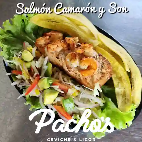 Salmón, Camaron y Son