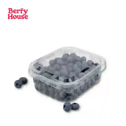 Berry House Arándano Premium Jumbo 250 g