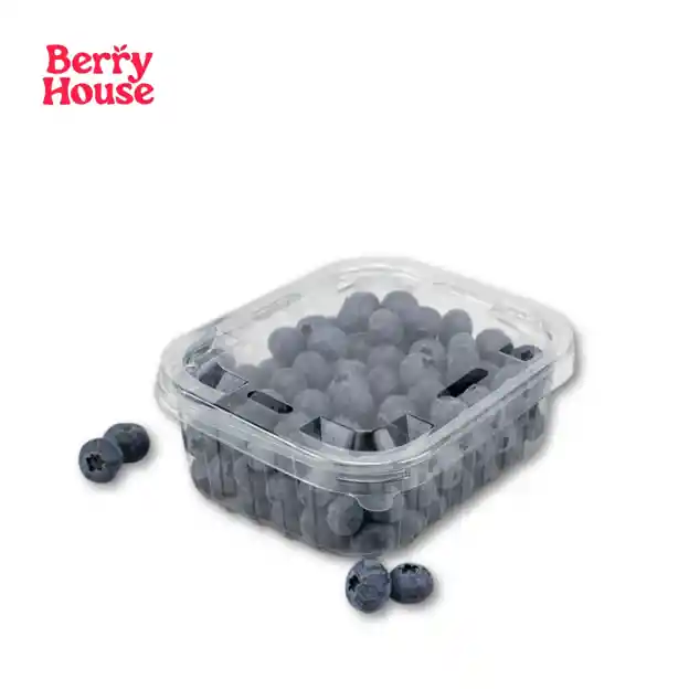 Berry House Arándano Premium Jumbo 250 g
