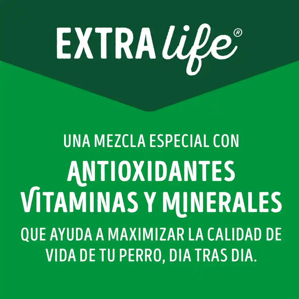 Comida húmeda para perros Precio Especial x 7 sobres
