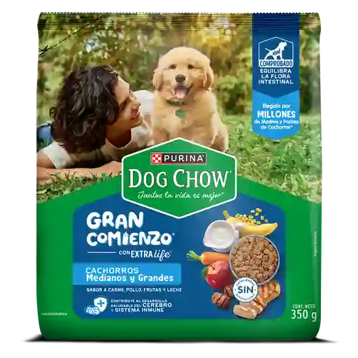 Alimento para perro Dog Chow Cachorros Gran Comienzo Medianos y Grandes x 350g