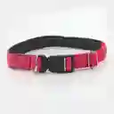 Clark Collar Para Perro Talla L 19 mm Fucsia 40964