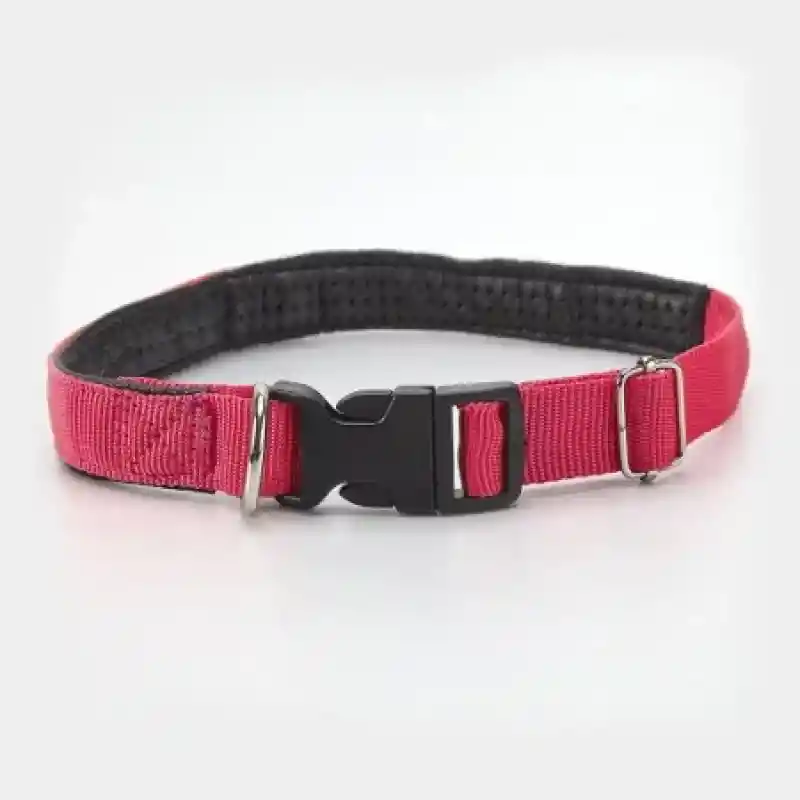 Clark Collar Para Perro Talla L 19 mm Fucsia 40964