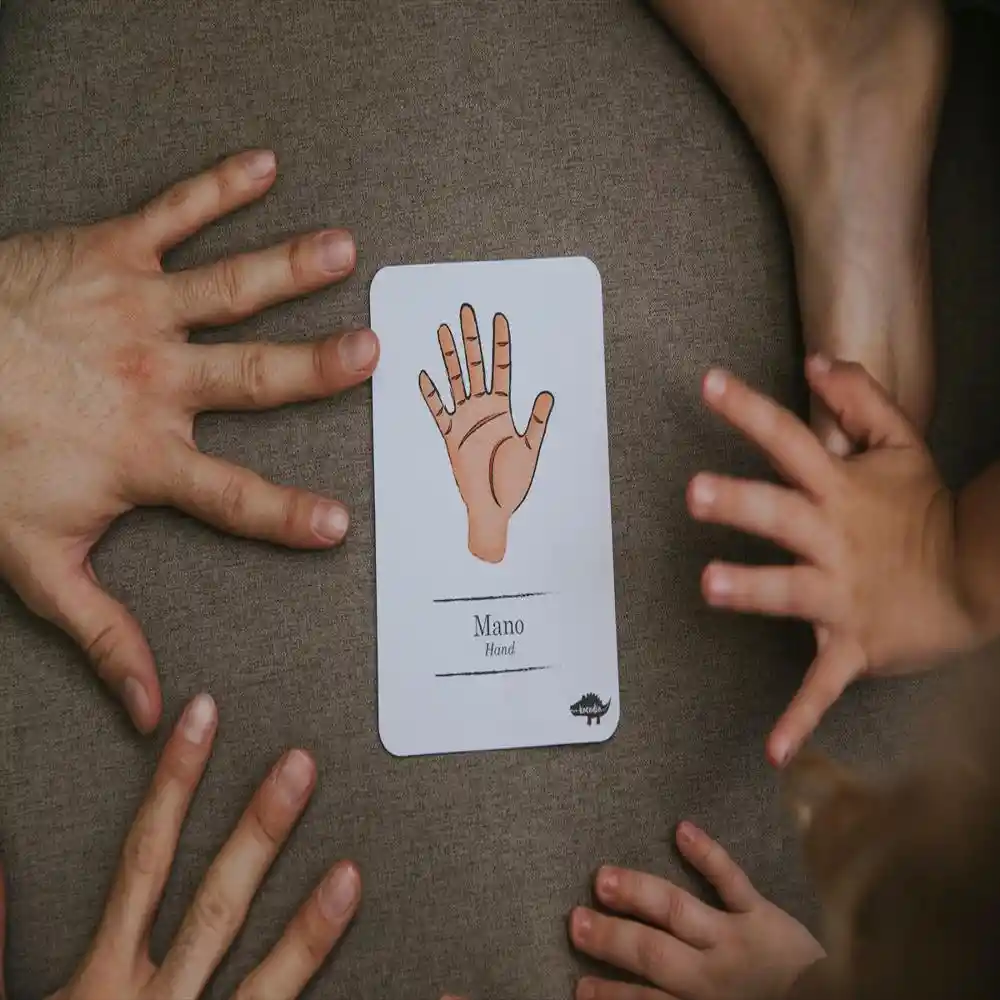 Flash Cards Cuerpo Humano