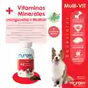 Mungos Vitaminas y Minerales 100 g