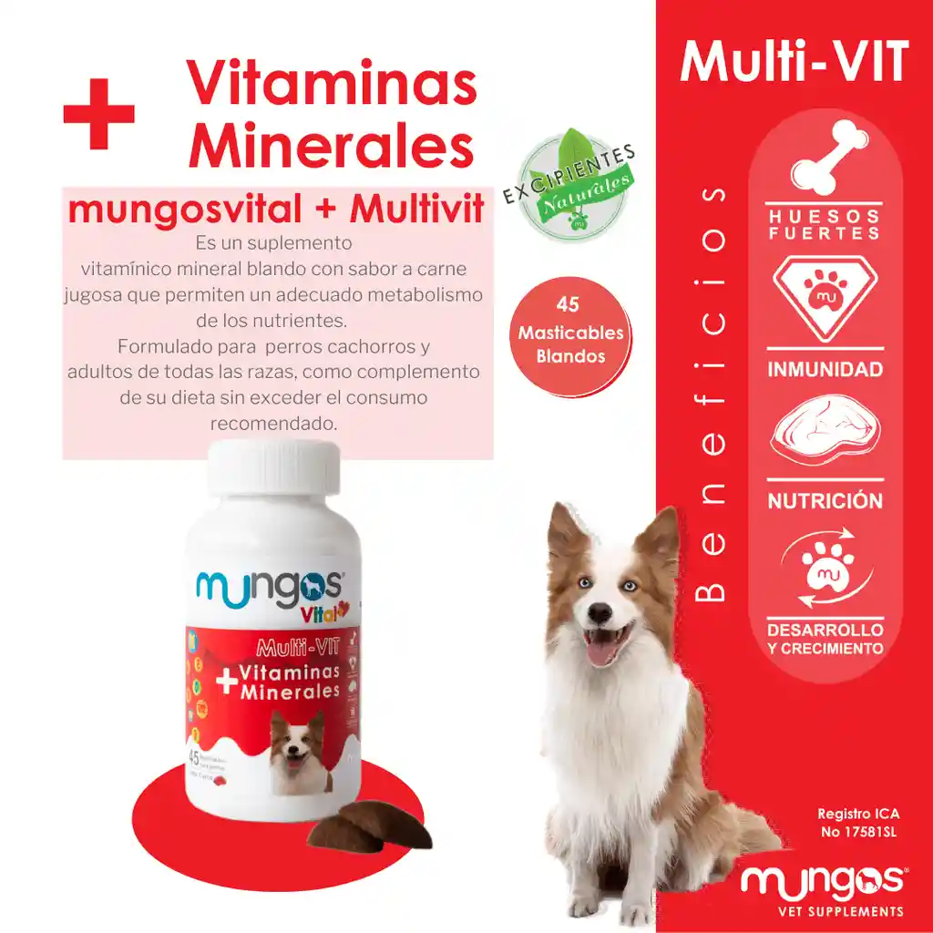 Mungos Vitaminas y Minerales 100 g