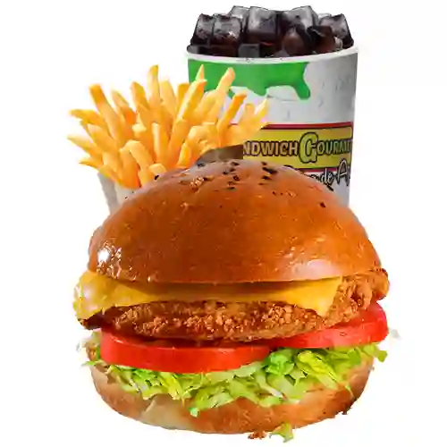 Combo Hamburguesa Apanada