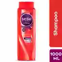 Sedal Shampoo Keratina con Antioxidante