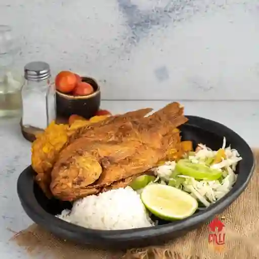 Tilapia Frita