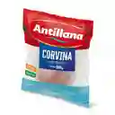 Antillana Filete en Corvina