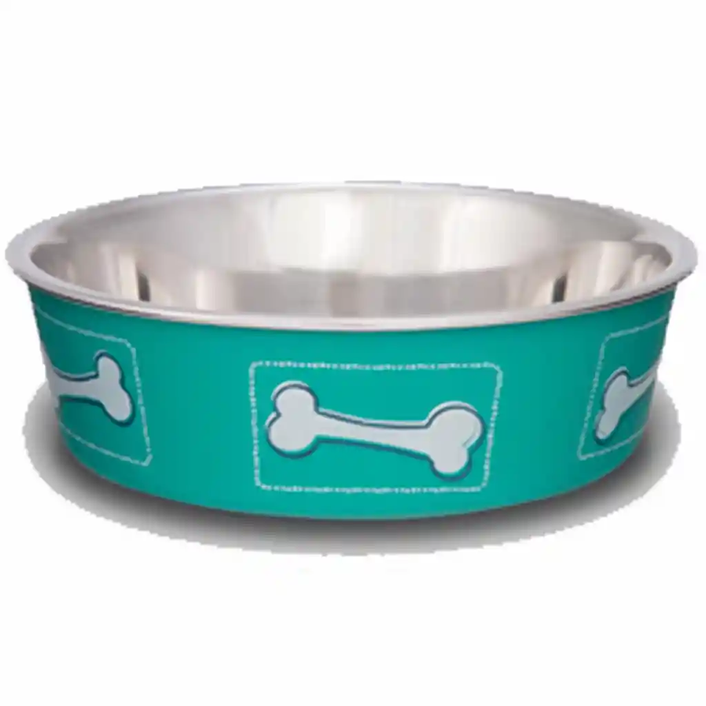 Coastal Comedero Acero Huesos Medium Aguamarina