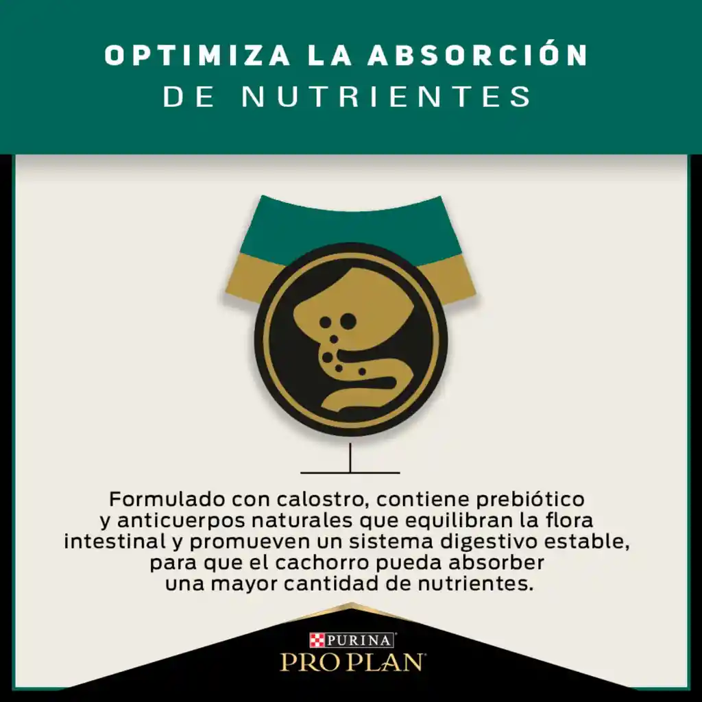 Comida para Perros cachorros razas medianas Purina Pro Plan x 3 kg