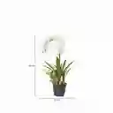 Ambiente Gourmet Flor Orquidea en Maceta 80 cm