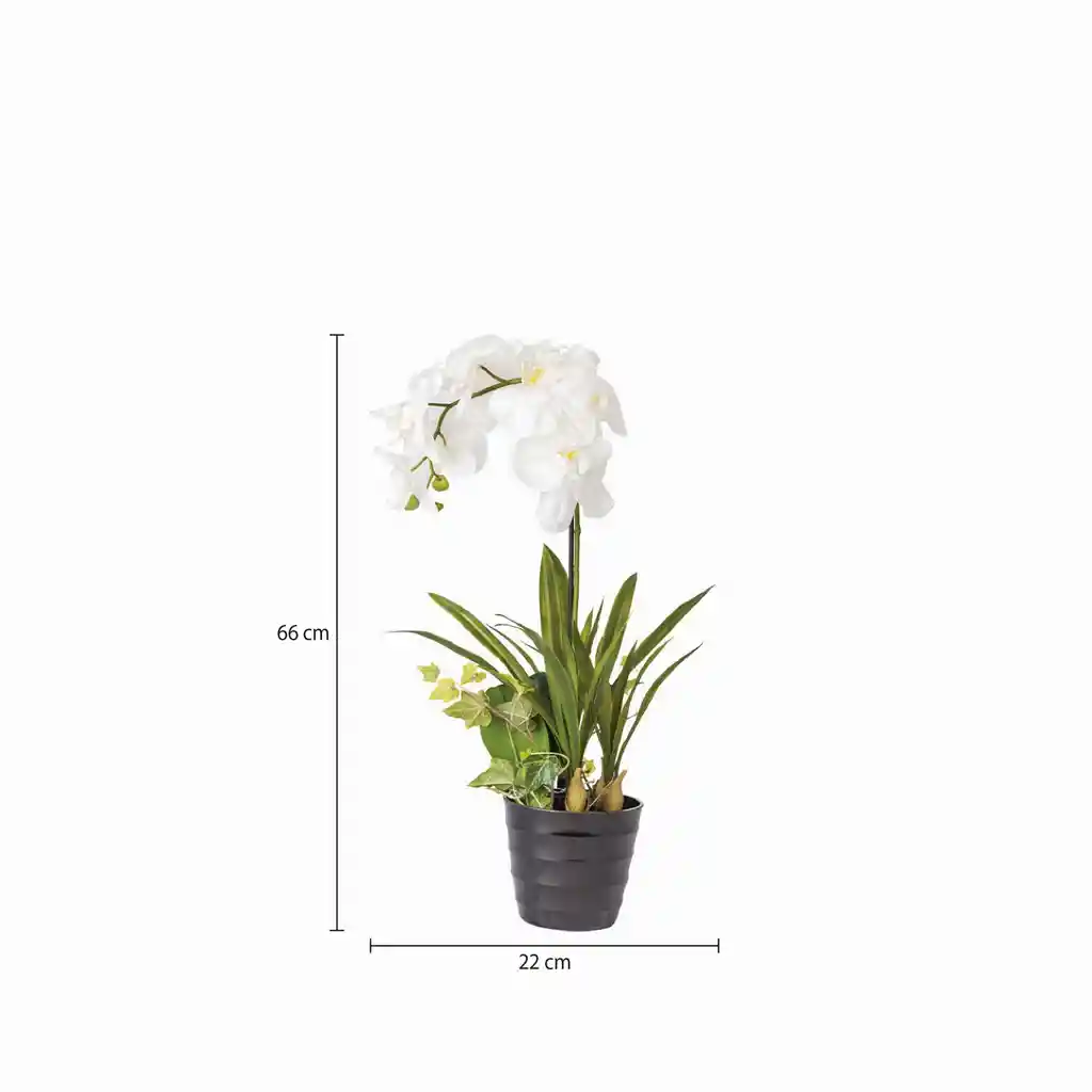 Ambiente Gourmet Flor Orquidea en Maceta 80 cm