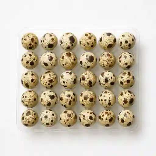 Huevo de Codorniz X4