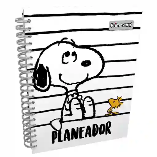 Planeador Snoopy y Woodstock