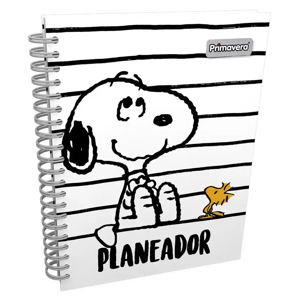 Planeador Snoopy y Woodstock