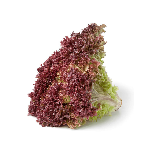 Lechuga Morada Ecológica 120 g
