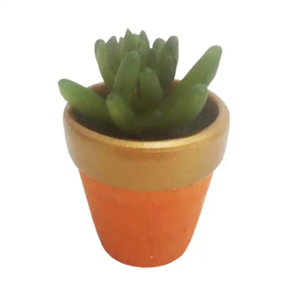 Suculenta Krea Sahara