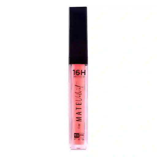 Labial Sp Pro (4 Gr)