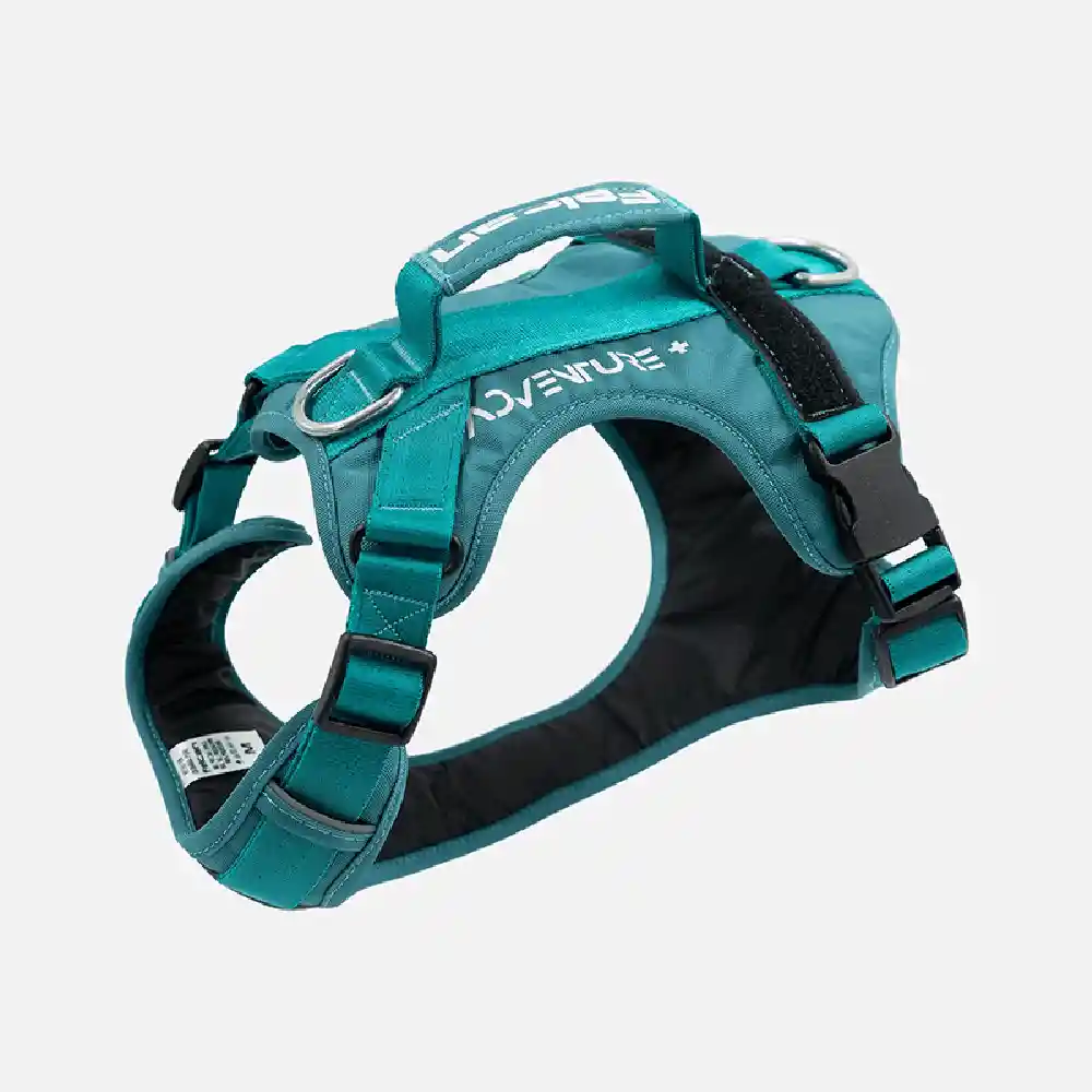 Arnés Para Perro Mountain Verde J Felcan