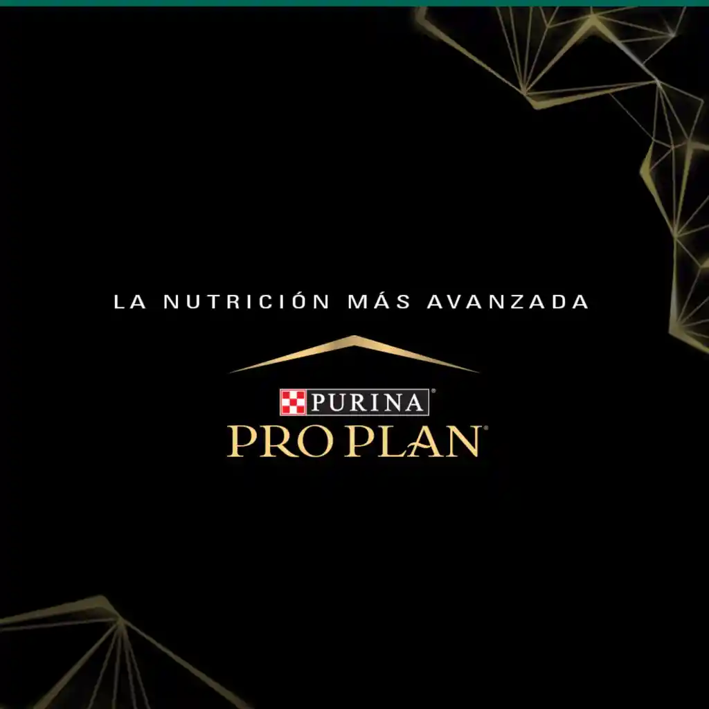 Comida para Gatitos Purina Pro Plan x 1,5 kg