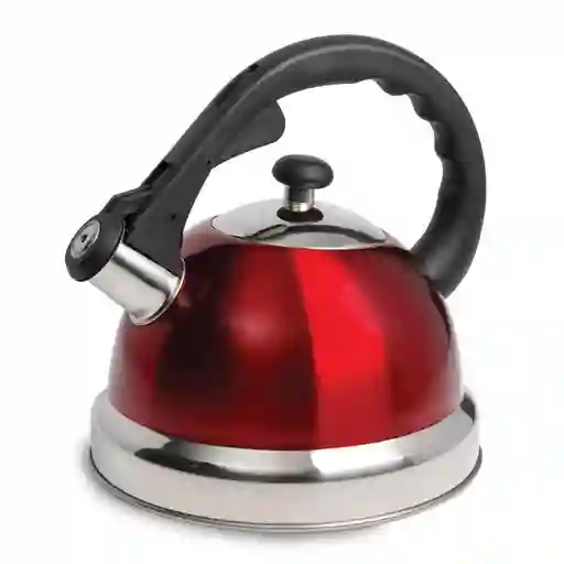 Tetera Hervidora Claredale Mr Coffee 108074.01