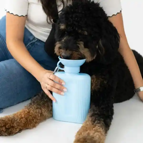 Springer Botella Mascotas Plegable Growler Azul