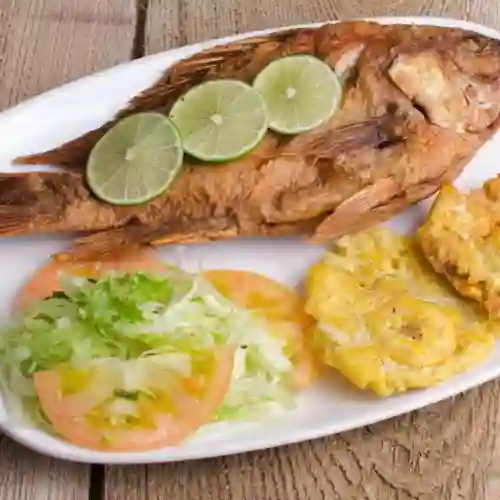 Tilapia Frita