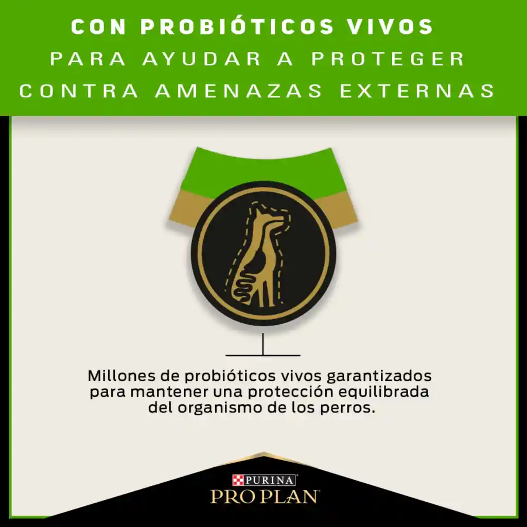 PRO PLAN SKIN & STOMACH ADULTO 3,5 kg