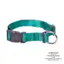 Collar Ajustable Para Perro Mylu M Verde