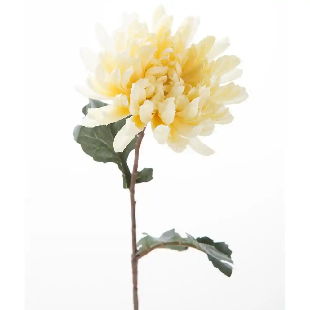 Finlandek Flor Crisantemo