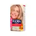 Igora Tinte Vital Rubio Extra Claro 9-00 100 mL