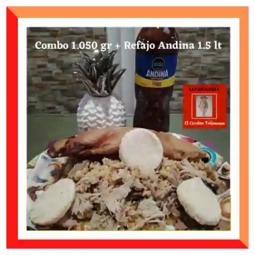 Combo 1050 Grm + Refajo Andina 1,5 Lts