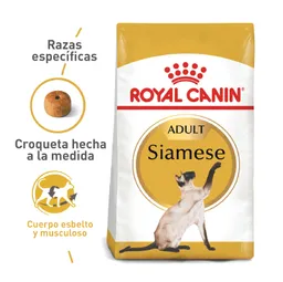 Royal Canin Alimento para Gato Siames