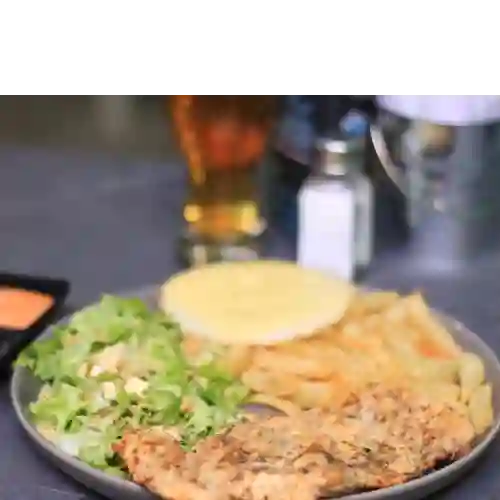Pollo