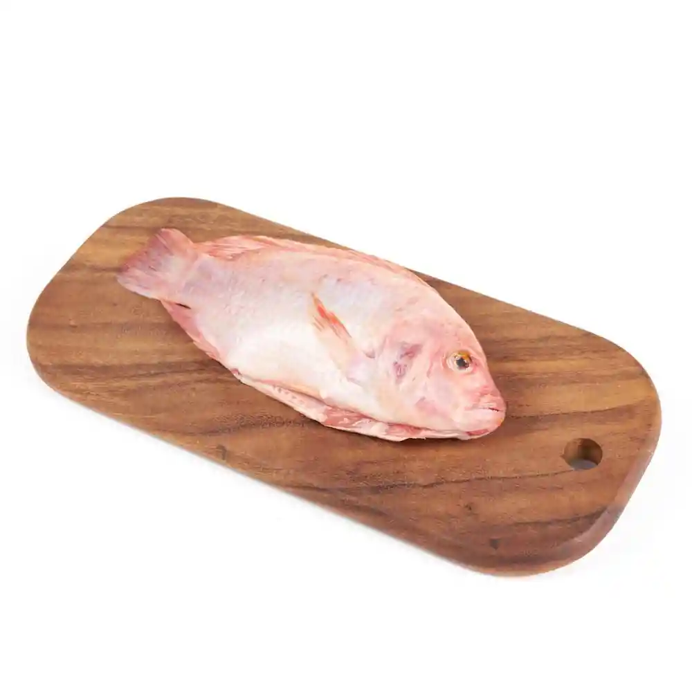 Tilapia Roja Bandeja
