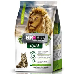 Br For Cat Alimento para Gato Sabor Salmón y Pato 1 Kg