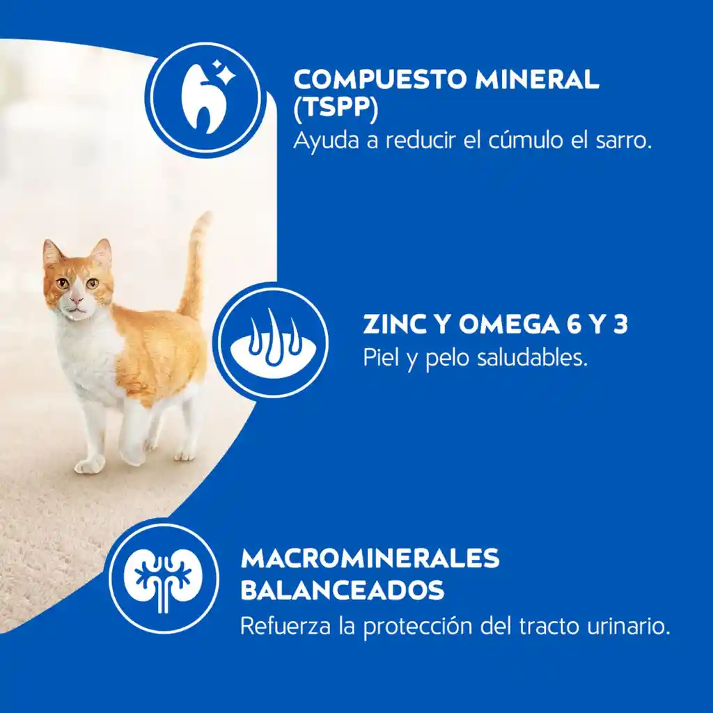Comida para gatos Purina Cat Chow adulto pescado x 1,5kg