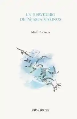 Un Hervidero de Pájaros Marinos