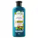 Oferta Shampoo +acondicionador Herbal Essences Argan X2