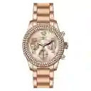 Reloj Ángel Mujer Rosado 20267 Invicta