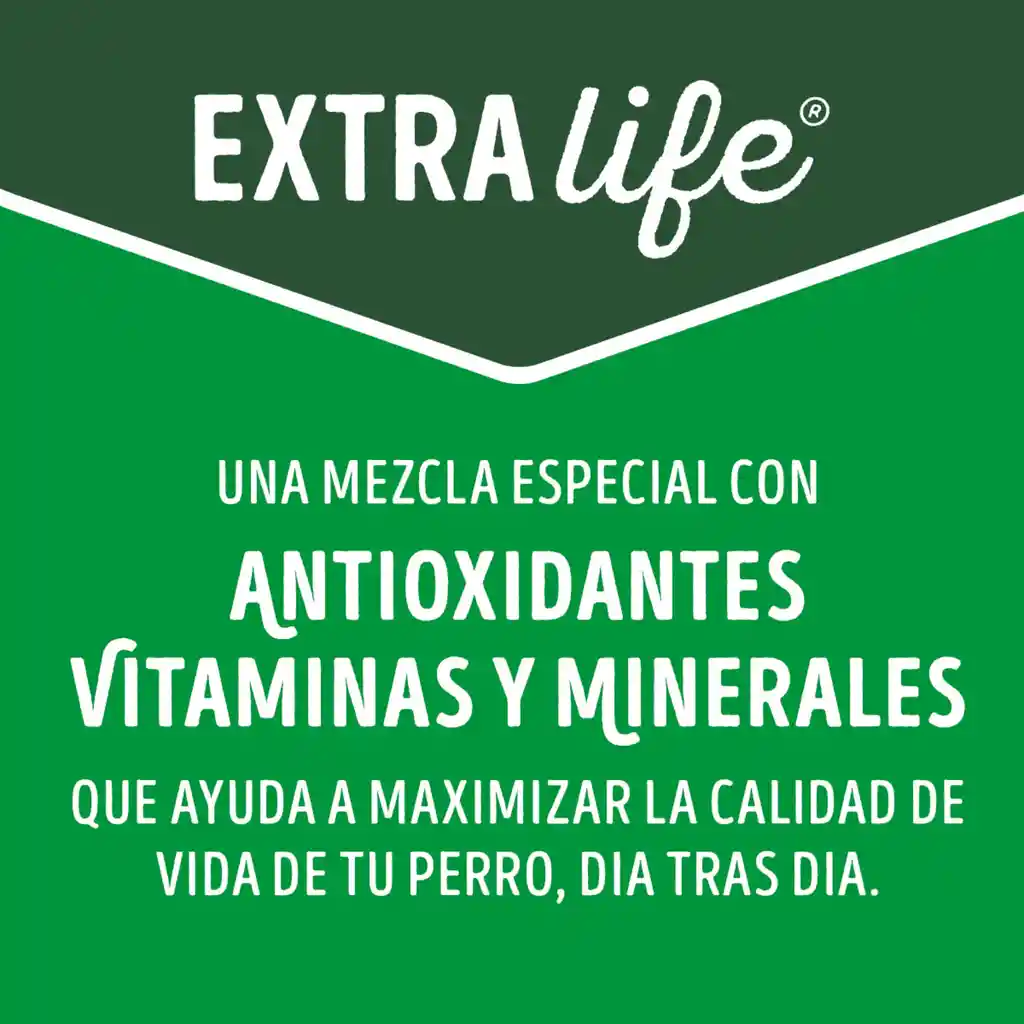 Comida para perro Dog Chow control de peso (Light) x 2 kg