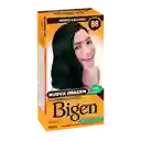 Bigen Tinte Capilar Permanente en Polvo Tono  Azulado 88