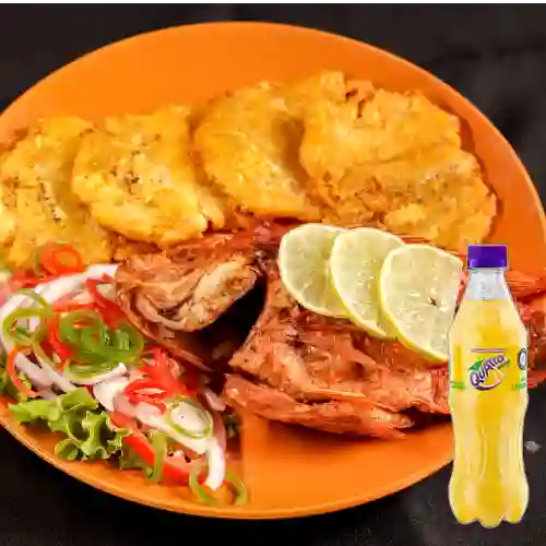 Combo Mojarra Roja Frita 500gr + Quatro Original 400ML