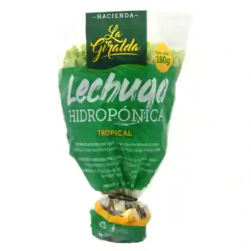 Lechug Tropic Hidrop Hac La Giralda