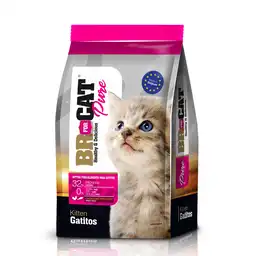 Br For Cat Alimento para Gatitos
